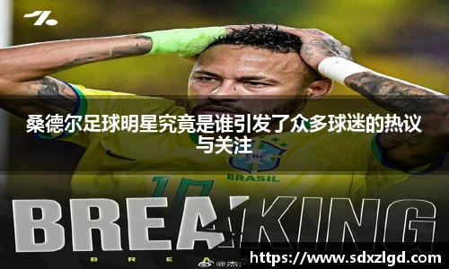 桑德尔足球明星究竟是谁引发了众多球迷的热议与关注
