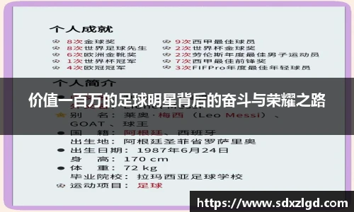 价值一百万的足球明星背后的奋斗与荣耀之路